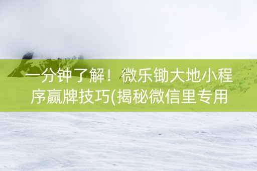 一分钟了解！微乐锄大地小程序赢牌技巧(揭秘微信里专用神器)