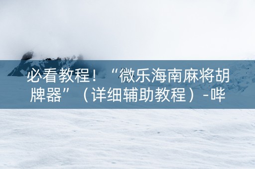 必看教程！“微乐海南麻将胡牌器”（详细辅助教程）-哔哩哔哩