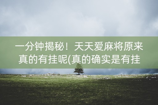 一分钟揭秘！天天爱麻将原来真的有挂呢(真的确实是有挂)