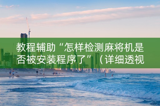 教程辅助“怎样检测麻将机是否被安装程序了”（详细透视教程）-哔哩哔哩