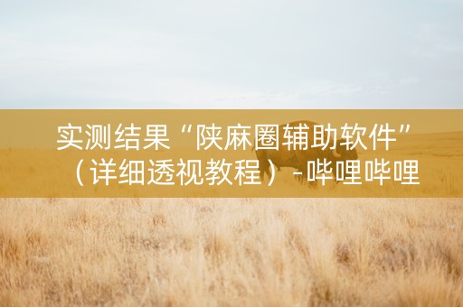 实测结果“陕麻圈辅助软件”（详细透视教程）-哔哩哔哩