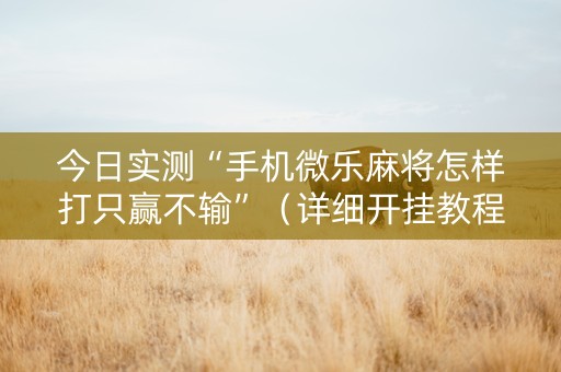 今日实测“手机微乐麻将怎样打只赢不输”（详细开挂教程）-哔哩哔哩