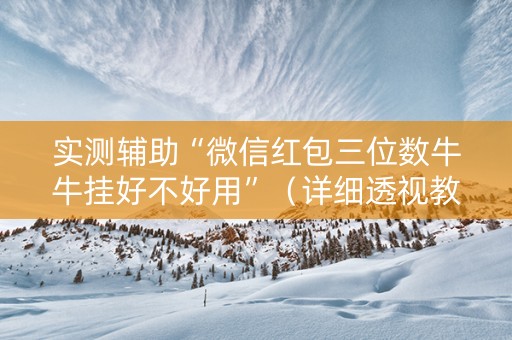 实测辅助“微信红包三位数牛牛挂好不好用”（详细透视教程）-哔哩哔哩