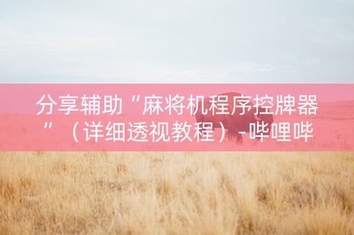 分享辅助“麻将机程序控牌器”（详细透视教程）-哔哩哔哩