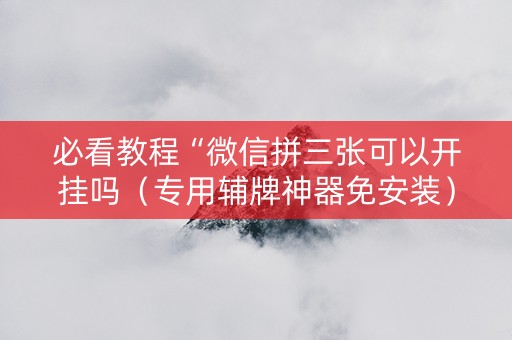 必看教程“微信拼三张可以开挂吗（专用辅牌神器免安装）