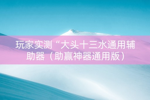 玩家实测“大头十三水通用辅助器（助赢神器通用版）