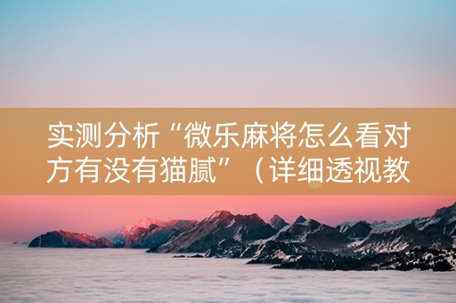 实测分析“微乐麻将怎么看对方有没有猫腻”（详细透视教程）-哔哩哔哩