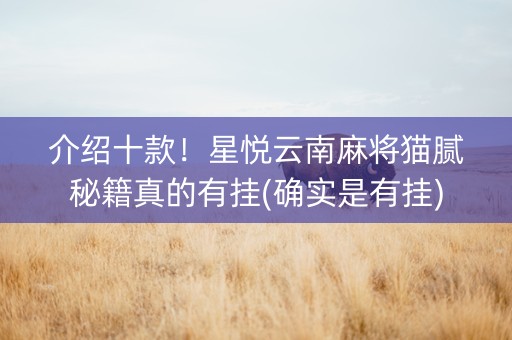 介绍十款！星悦云南麻将猫腻秘籍真的有挂(确实是有挂)