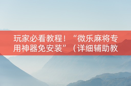 玩家必看教程！“微乐麻将专用神器免安装”（详细辅助教程）-哔哩哔哩