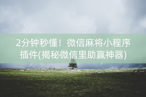2分钟秒懂！微信麻将小程序插件(揭秘微信里助赢神器)
