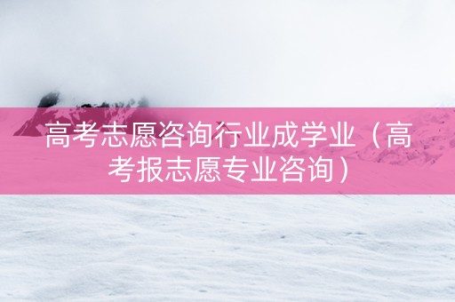 高考志愿咨询行业成学业（高考报志愿专业咨询）