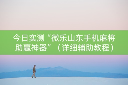 今日实测“微乐山东手机麻将助赢神器”（详细辅助教程）-哔哩哔哩