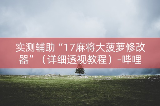 实测辅助“17麻将大菠萝修改器”（详细透视教程）-哔哩哔哩