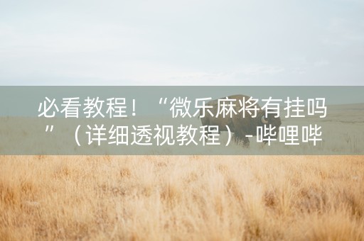 必看教程！“微乐麻将有挂吗”（详细透视教程）-哔哩哔哩