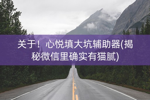 关于！心悦填大坑辅助器(揭秘微信里确实有猫腻)