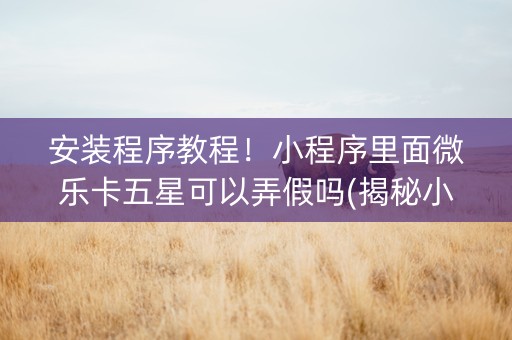 安装程序教程！小程序里面微乐卡五星可以弄假吗(揭秘小程序助攻神器)