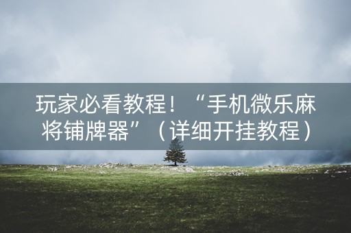 玩家必看教程！“手机微乐麻将铺牌器”（详细开挂教程）-哔哩哔哩