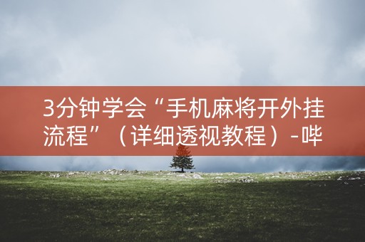 3分钟学会“手机麻将开外挂流程”（详细透视教程）-哔哩哔哩