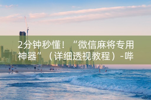 2分钟秒懂！“微信麻将专用神器”（详细透视教程）-哔哩哔哩