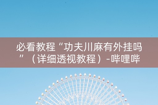 必看教程“功夫川麻有外挂吗”（详细透视教程）-哔哩哔哩