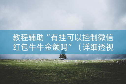 教程辅助“有挂可以控制微信红包牛牛金额吗”（详细透视教程）-哔哩哔哩