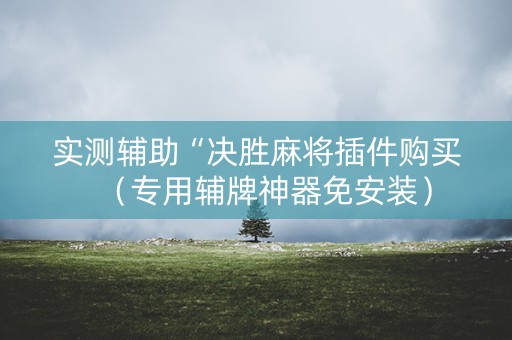 实测辅助“决胜麻将插件购买（专用辅牌神器免安装）
