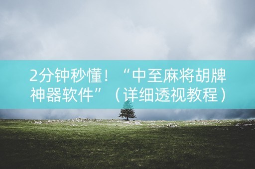 2分钟秒懂！“中至麻将胡牌神器软件”（详细透视教程）-哔哩哔哩