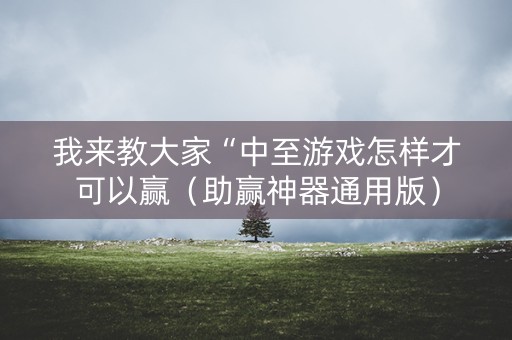 我来教大家“中至游戏怎样才可以赢（助赢神器通用版）