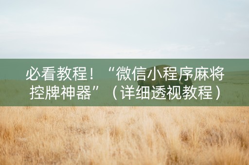 必看教程！“微信小程序麻将控牌神器”（详细透视教程）-哔哩哔哩