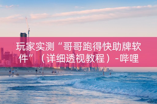 玩家实测“哥哥跑得快助牌软件”（详细透视教程）-哔哩哔哩
