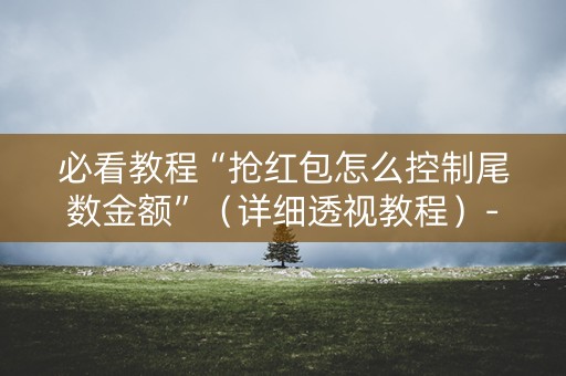 必看教程“抢红包怎么控制尾数金额”（详细透视教程）-哔哩哔哩