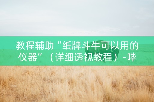 教程辅助“纸牌斗牛可以用的仪器”（详细透视教程）-哔哩哔哩