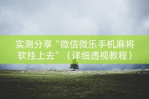 实测分享“微信微乐手机麻将软挂上去”（详细透视教程）-哔哩哔哩