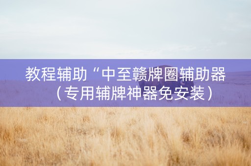 教程辅助“中至赣牌圈辅助器（专用辅牌神器免安装）