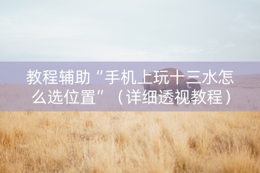 教程辅助“手机上玩十三水怎么选位置”（详细透视教程）-哔哩哔哩