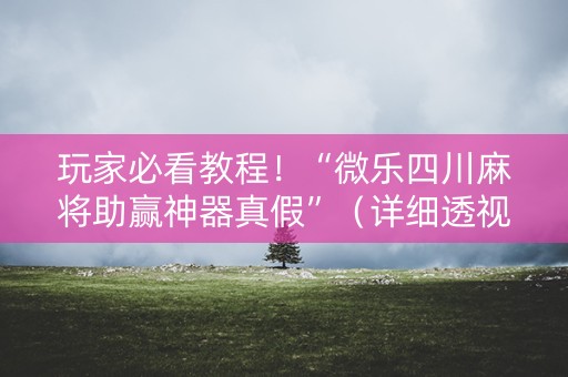 玩家必看教程！“微乐四川麻将助赢神器真假”（详细透视教程）-哔哩哔哩