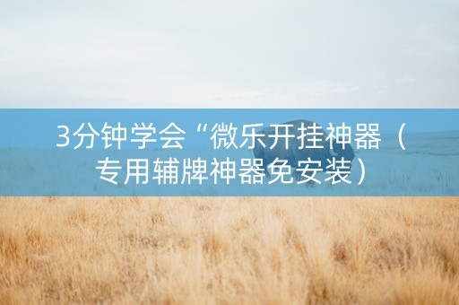 3分钟学会“微乐开挂神器（专用辅牌神器免安装）