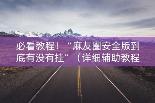 必看教程！“麻友圈安全版到底有没有挂”（详细辅助教程）-哔哩哔哩