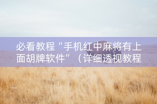 必看教程“手机红中麻将有上面胡牌软件”（详细透视教程）-哔哩哔哩