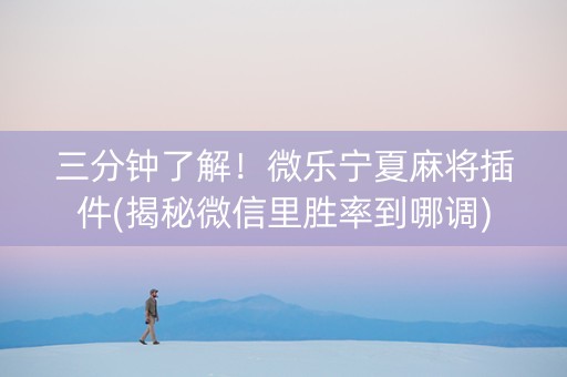 三分钟了解！微乐宁夏麻将插件(揭秘微信里胜率到哪调)