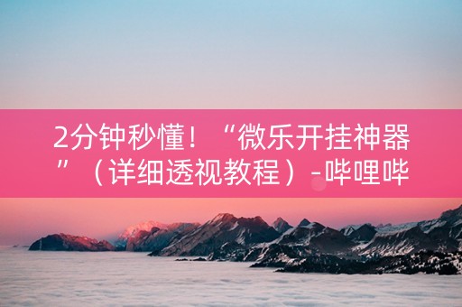 2分钟秒懂！“微乐开挂神器”（详细透视教程）-哔哩哔哩