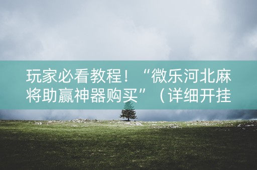玩家必看教程！“微乐河北麻将助赢神器购买”（详细开挂教程）-哔哩哔哩