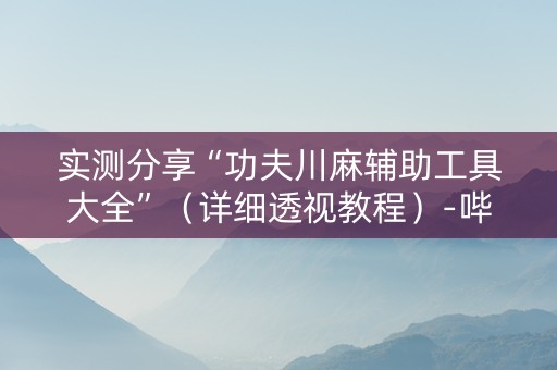 实测分享“功夫川麻辅助工具大全”（详细透视教程）-哔哩哔哩