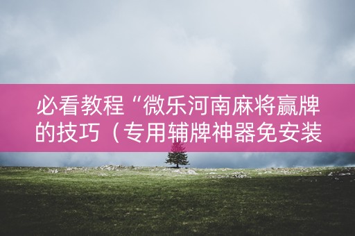 必看教程“微乐河南麻将赢牌的技巧（专用辅牌神器免安装）