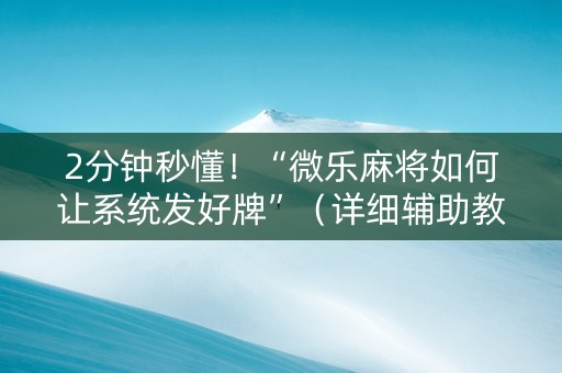 2分钟秒懂！“微乐麻将如何让系统发好牌”（详细辅助教程）-哔哩哔哩