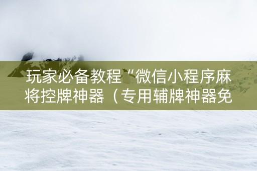玩家必备教程“微信小程序麻将控牌神器（专用辅牌神器免安装）