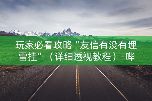 玩家必看攻略“友信有没有埋雷挂”（详细透视教程）-哔哩哔哩