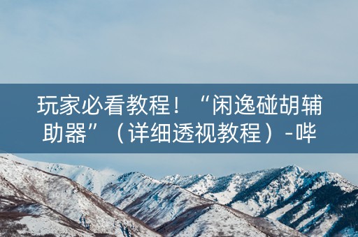 玩家必看教程！“闲逸碰胡辅助器”（详细透视教程）-哔哩哔哩