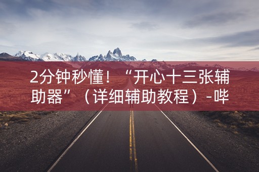 2分钟秒懂！“开心十三张辅助器”（详细辅助教程）-哔哩哔哩
