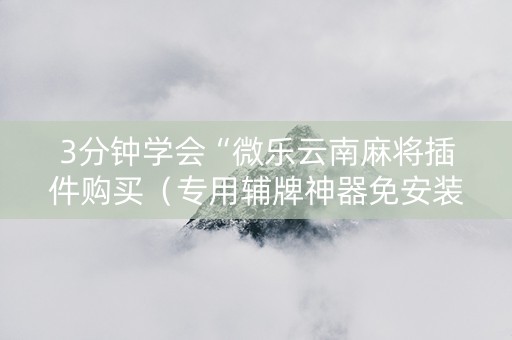 3分钟学会“微乐云南麻将插件购买（专用辅牌神器免安装）